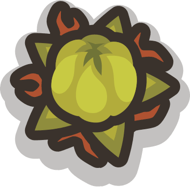 Desert Seed Plant
